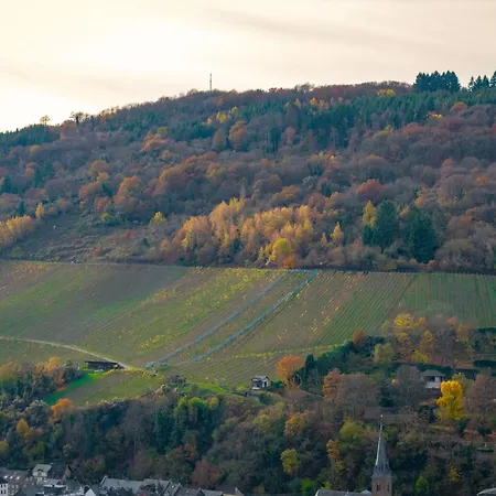 Auri Moselblick